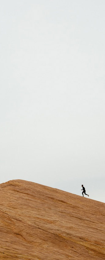 free email marketing platform for small business